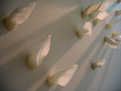 detail
